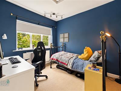 Picture 21